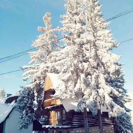 Max Vikendica * Jahorina